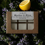 Load image into Gallery viewer, Giardino di Citrus Wax Melts
